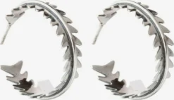 Gemshine Oorringen Oorbellen Dames Zilver