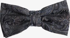 Eterna Vlinderdassen Vlinderdasje Heren Gemengde Kleuren