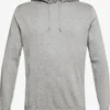 ESPRIT Hoodies Trui Heren Grijs