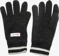 Whistler Handschoenen Vingerhandschoenen Hancok Heren Zwart