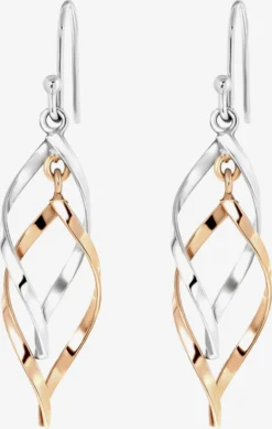 Oorhangers Oorbellen Dames Zilver