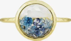 Astra Ringen Ring Dames Blauw / Goud