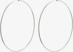 Pilgrim Oorringen Oorbellen April Dames Zilver