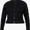 Vero Moda Curve Spijkerjasjes Tussenjas RUNA Dames Zwart -TrendHaven ccc353e4f657d605cb44ae9a94a40900 scaled