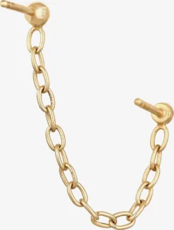 Elli Oorknopjes Oorbellen Ear Chain Dames Goud -TrendHaven ee0cf45998c0822df3db07a2c9ae4c71 scaled