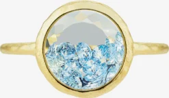 Astra Ringen Ring Dames Goud